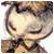 Shraunius